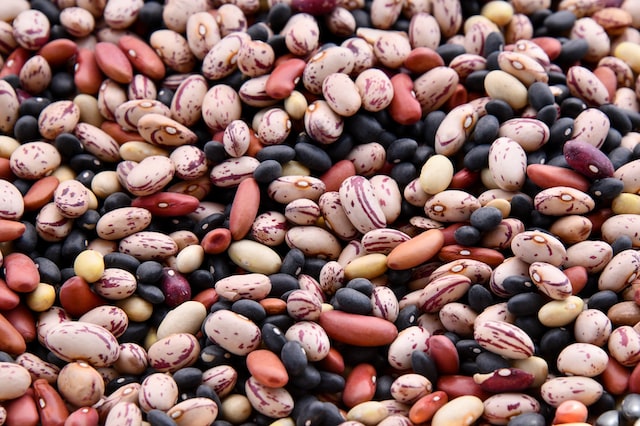 5 Excellent Health Benefits of Black Beans